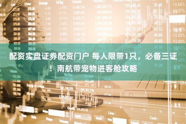 配资实盘证券配资门户 每人限带1只，必备三证！南航带宠物进客舱攻略